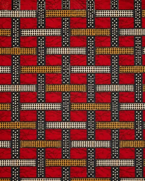 Lattice of Ladders Fabric